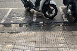 Honda sh 150 sport