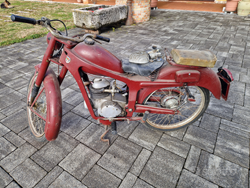 Capriolo 75 Caproni Trento