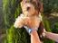 Immagine 5