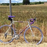 Vitus ovoid in alluminio con tripla moltiplica 