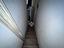 Immagine 12