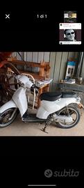 scarabeo 75