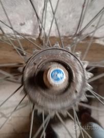 Ruota 26 pollici posteriore DEI