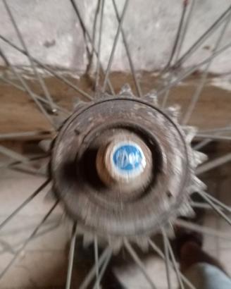 Ruota 26 pollici posteriore DEI