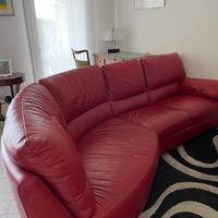 Divano Doimo pelle primo fiore