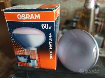 Lampade Osram Natura crescita piante