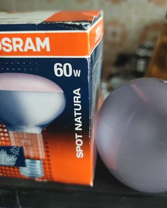 Lampade Osram Natura crescita piante