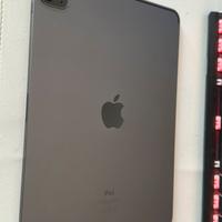 Apple IPad Pro 11” M1 2021 (3a generazione)