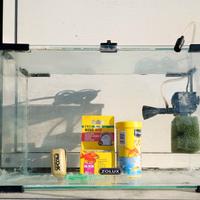 acquario 20 litri 