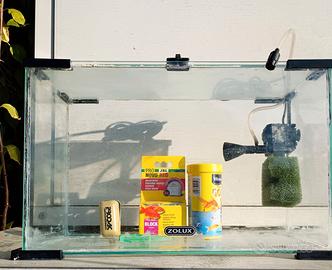 acquario 20 litri 