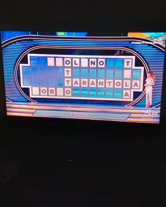 TV 19 pollici 