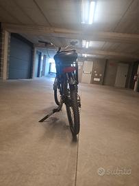 Bici elettrica 