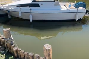 Scafo in vetroresina Italmarine mt 6