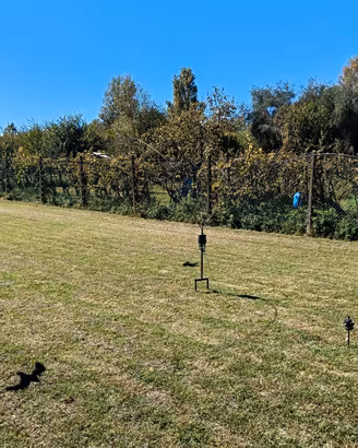 Giostra per caccia