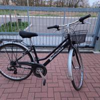 Bicicletta Bottecchia