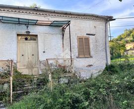 CASA INDIPENDENTE A ARCE