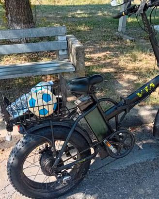 Bicicletta elettrica