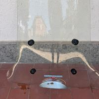 Parabrezza scarabeo 50