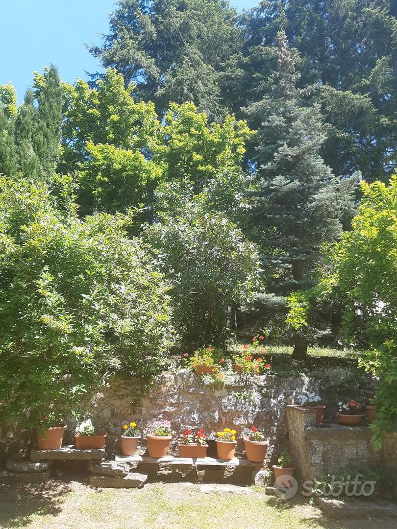 Casa in pietra con annessi bosco e sorgente - Vista 3