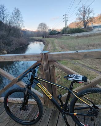 monta bike