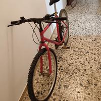 bicicletta mountain bike