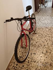 bicicletta mountain bike