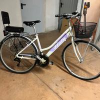 Bici trekking