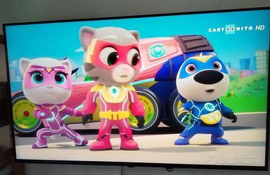 Televisore LG 50 pollici smart con staffa per muro