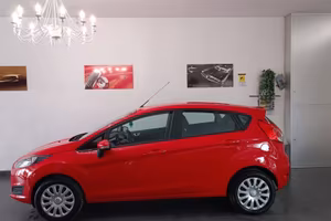 Ford Fiesta 1.4 5 porte Bz.- GPL Black & White Edi
