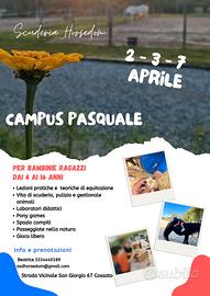 Campus Pasquale 🐴