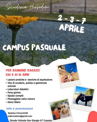 Campus Pasquale 🐴