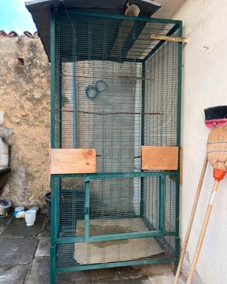 Gabbia per volatili