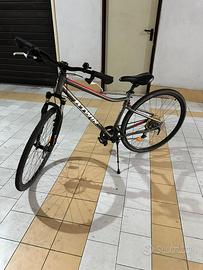 Bicicletta