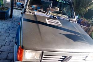 Fiat panda auto automobile 