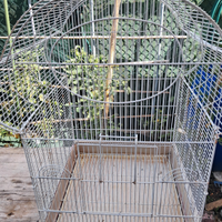 Gabbia papagalli