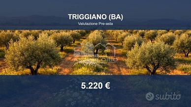 Immobile in asta di 6327 m² a Triggiano