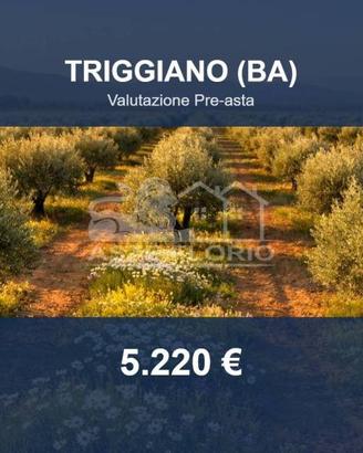 Immobile in asta di 6327 m² a Triggiano