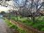 Immagine 10