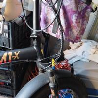 bici elettrica 