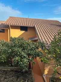 Ampio appartamento con ingresso indipendente