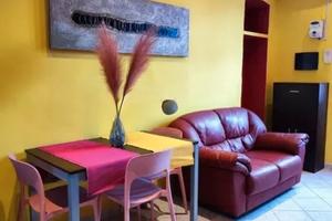 Elegante appartamento via saluzzo 116