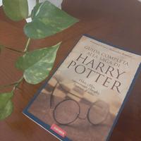 Guida completa alla saga di Harry Potter