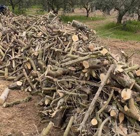 Legna di ulivo da ardere