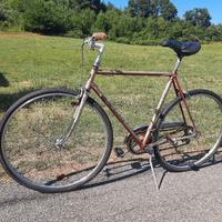 bicicletta bianchi da uomo