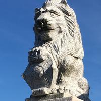 Leone in pietra granito