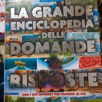 La grande enciclopedia delle domande e risposte