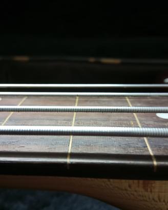 strumenti musicali  basso elettrico amplificatore