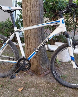 Mountain Bike Giant (2011) - Taglia L - Ammort.