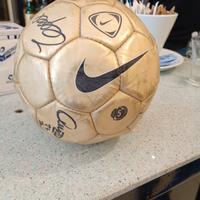 pallone Mercurial Speed Nike Champions 