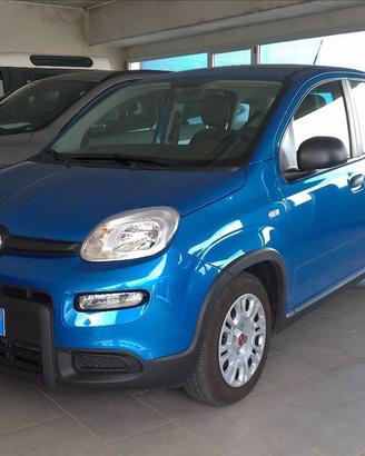 FIAT Panda 1.0 firefly hybrid s&s 70cv